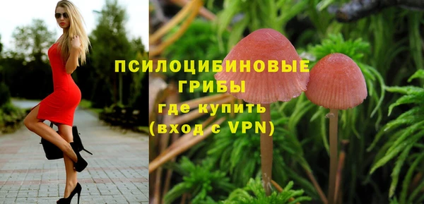 амф Абинск