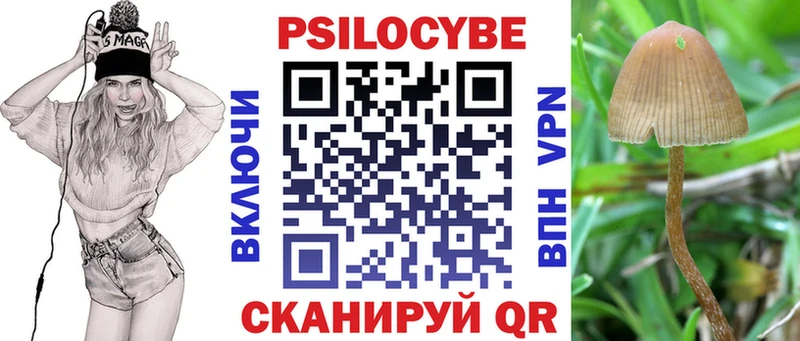 где можно купить наркотик  Тетюши  Галлюциногенные грибы Psilocybine cubensis 