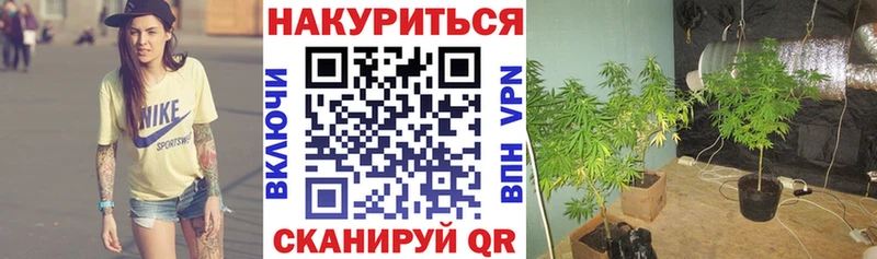 наркошоп  Тетюши  Бошки марихуана THC 21% 